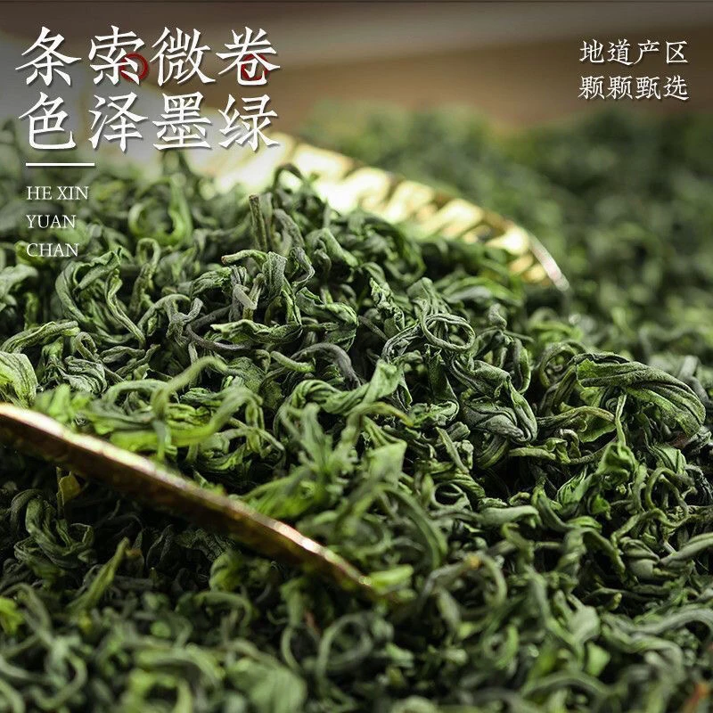2025高山云雾绿茶毛尖绿茶500克