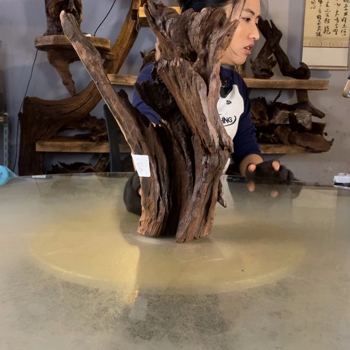 花****天然的云南紫柚木会黄水