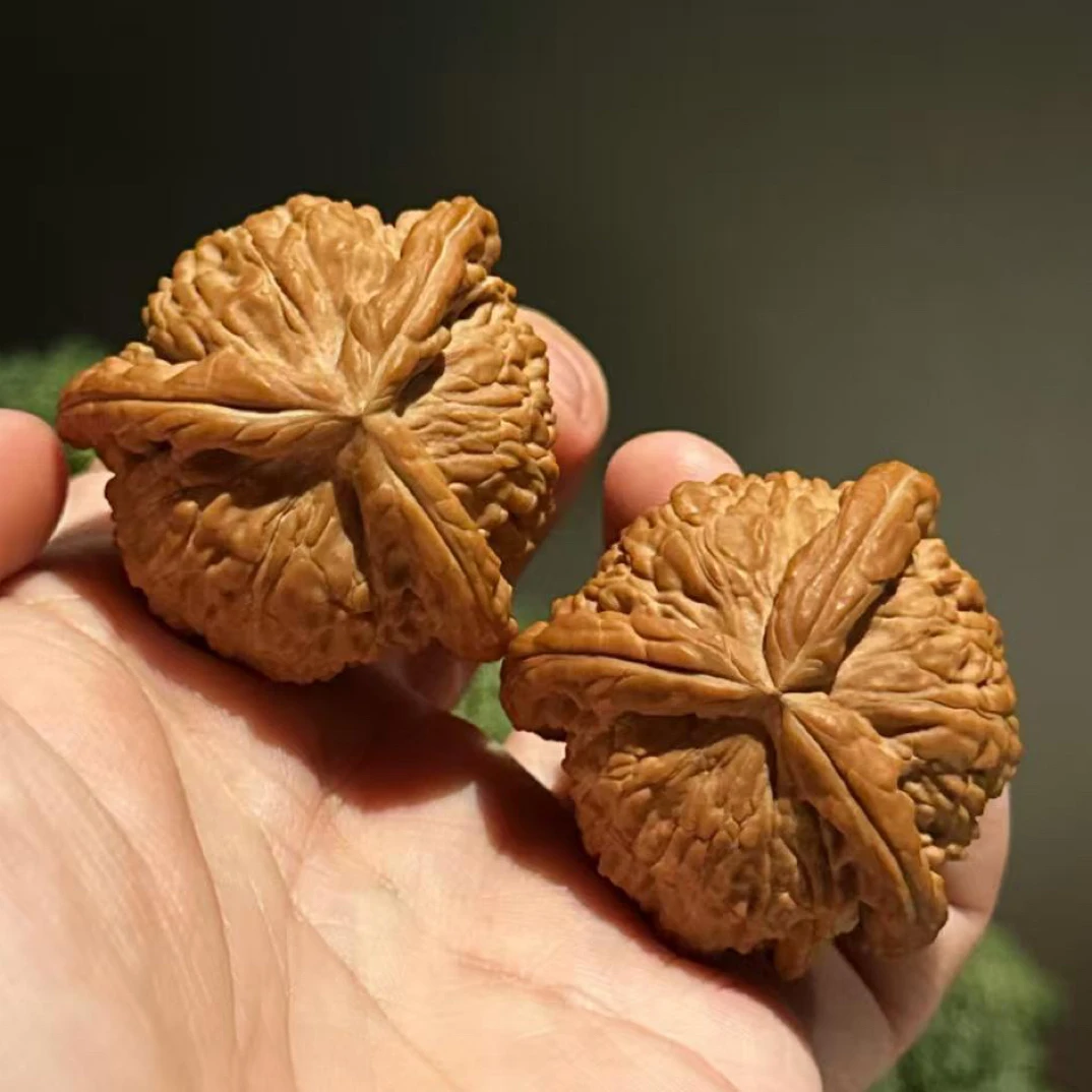 蛤蟆头四座楼白狮子文玩精品