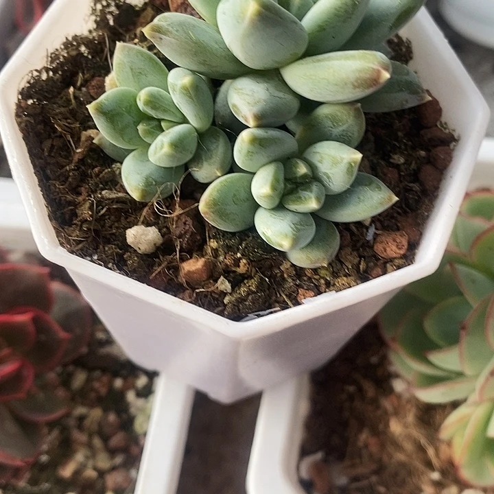 幻影美人134689“琳瑯满目