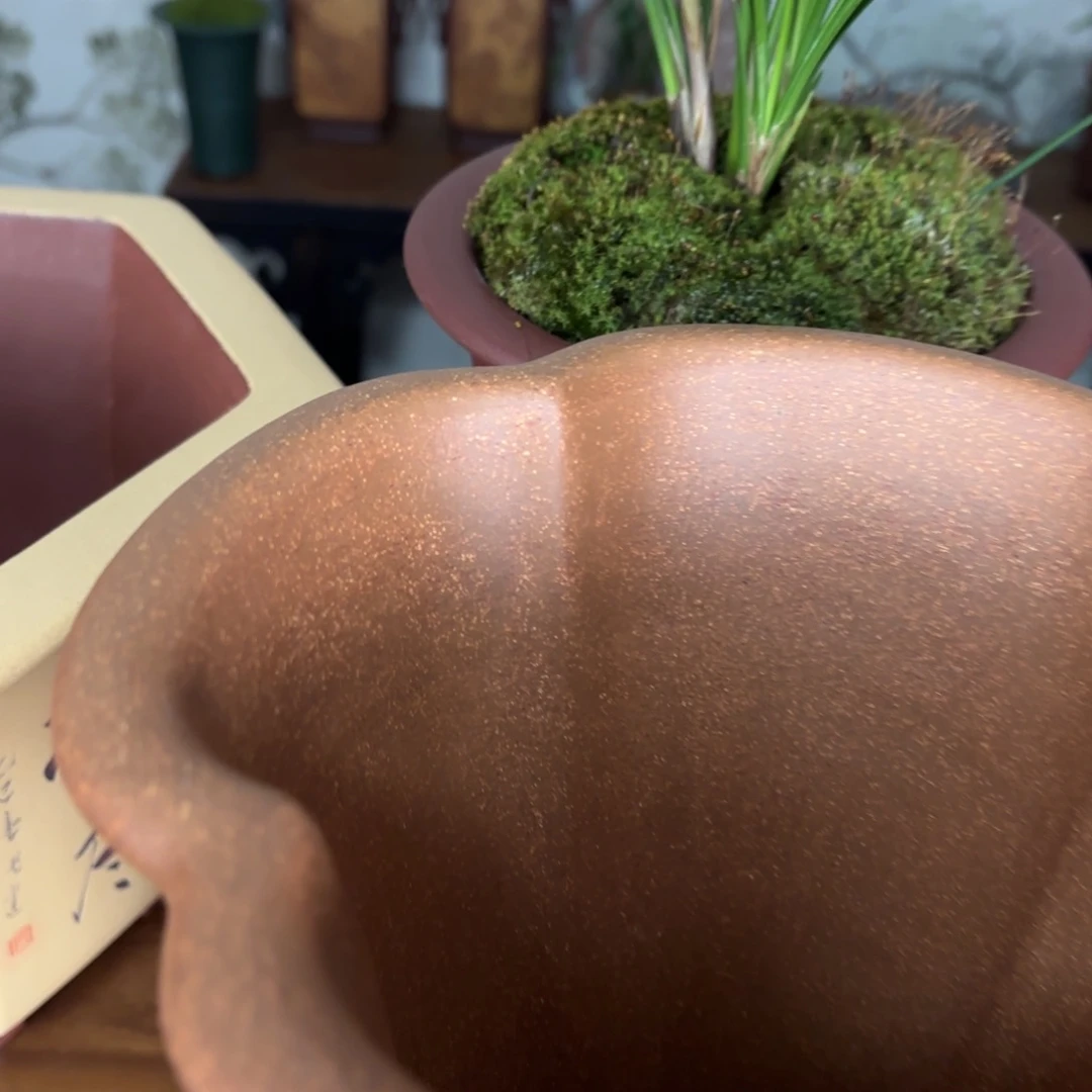 紫砂十****月正宗老紫玉金砂