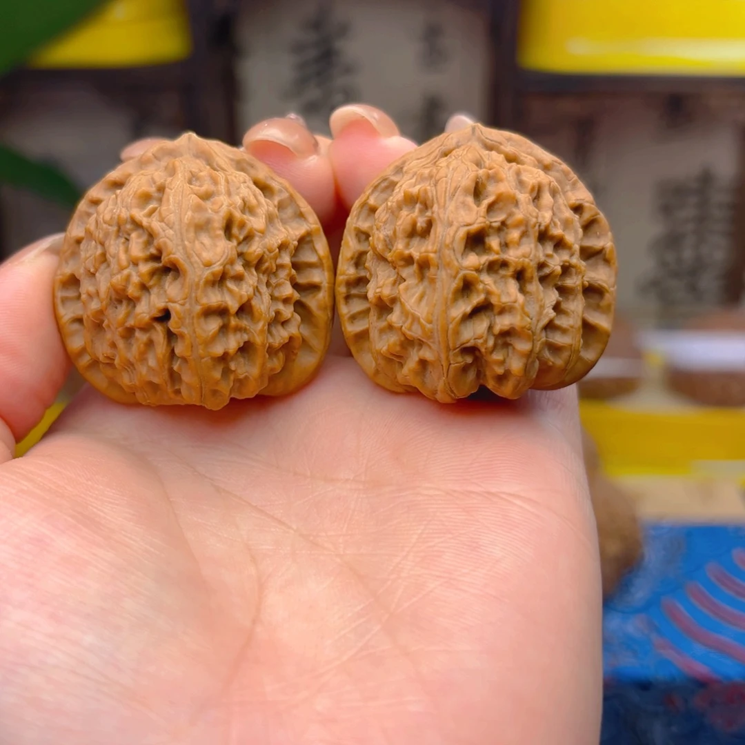 白狮子头三十七尺