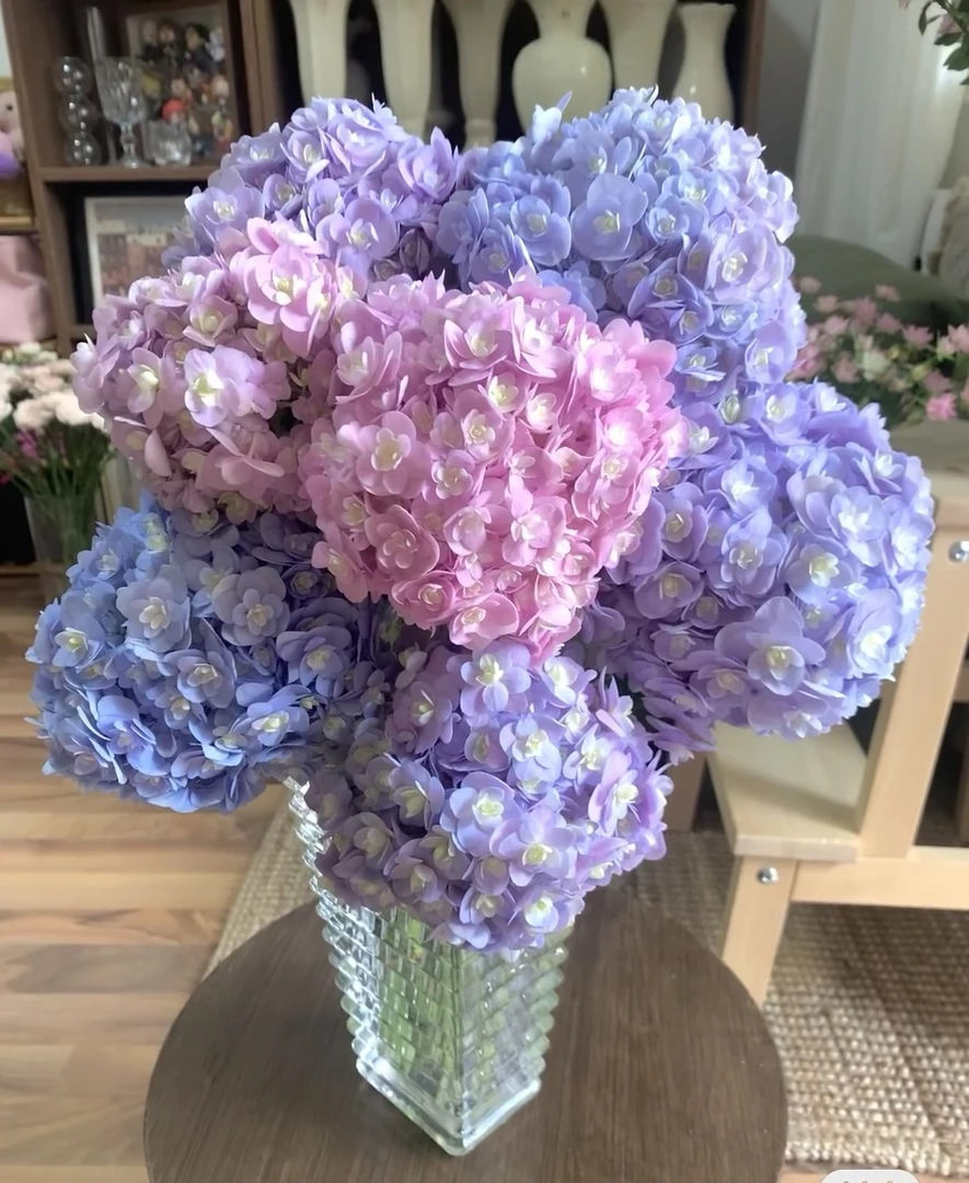 绣球 拍前直播间展示