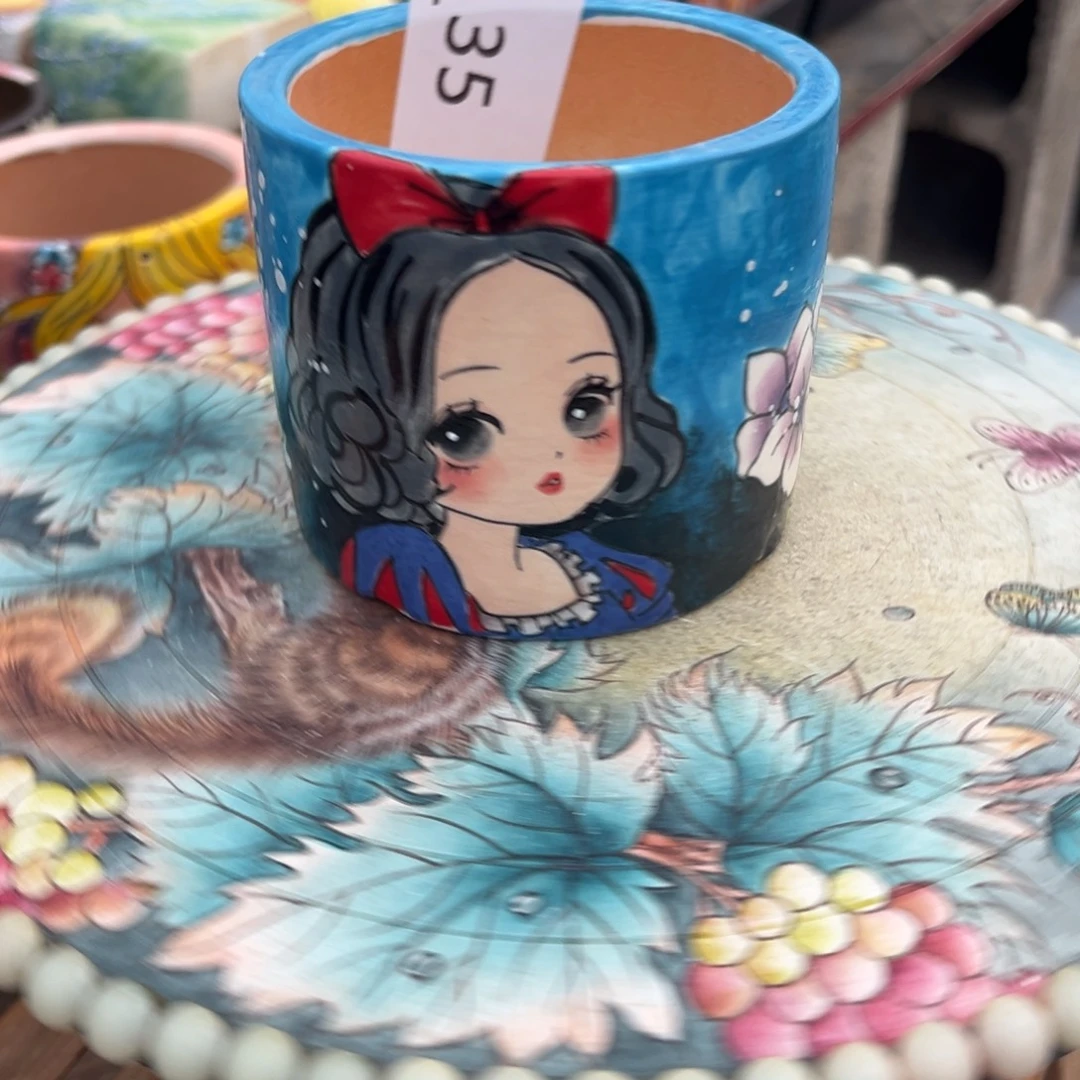 ****y35多肉花盆   1个