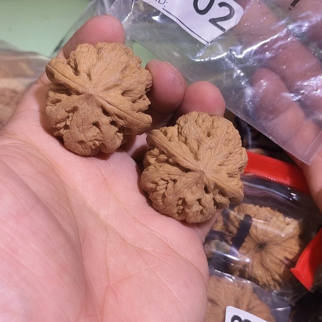 把件文玩核桃粗筋39尺。