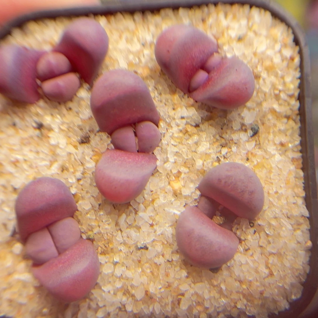 223。8888888888888888