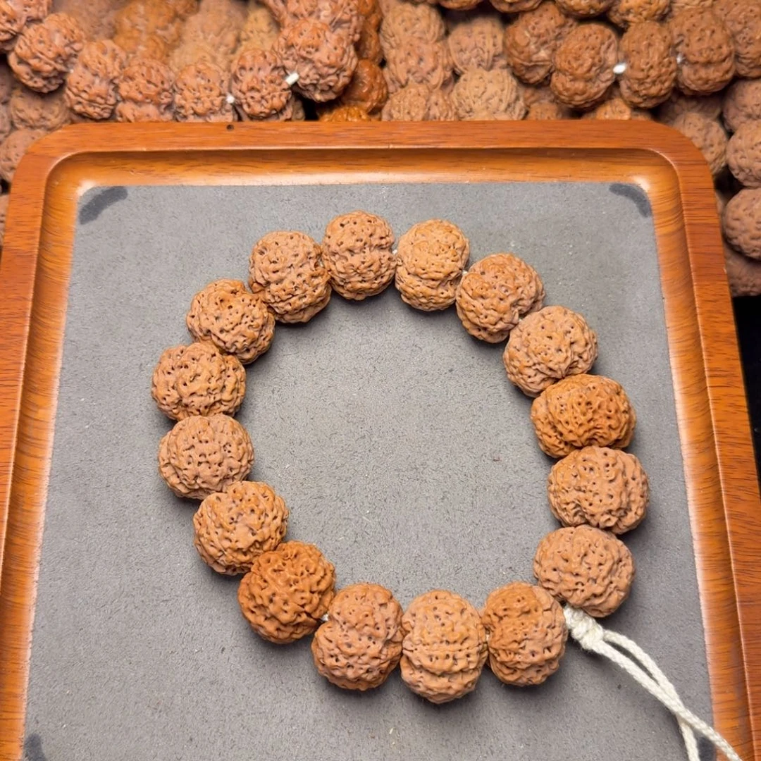 6号尼泊尔大金刚23.5-24五星蜂王菠萝蜜