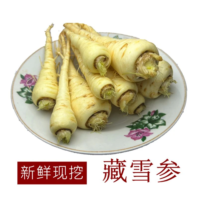 新鲜现挖藏雪参煲汤做菜农产品