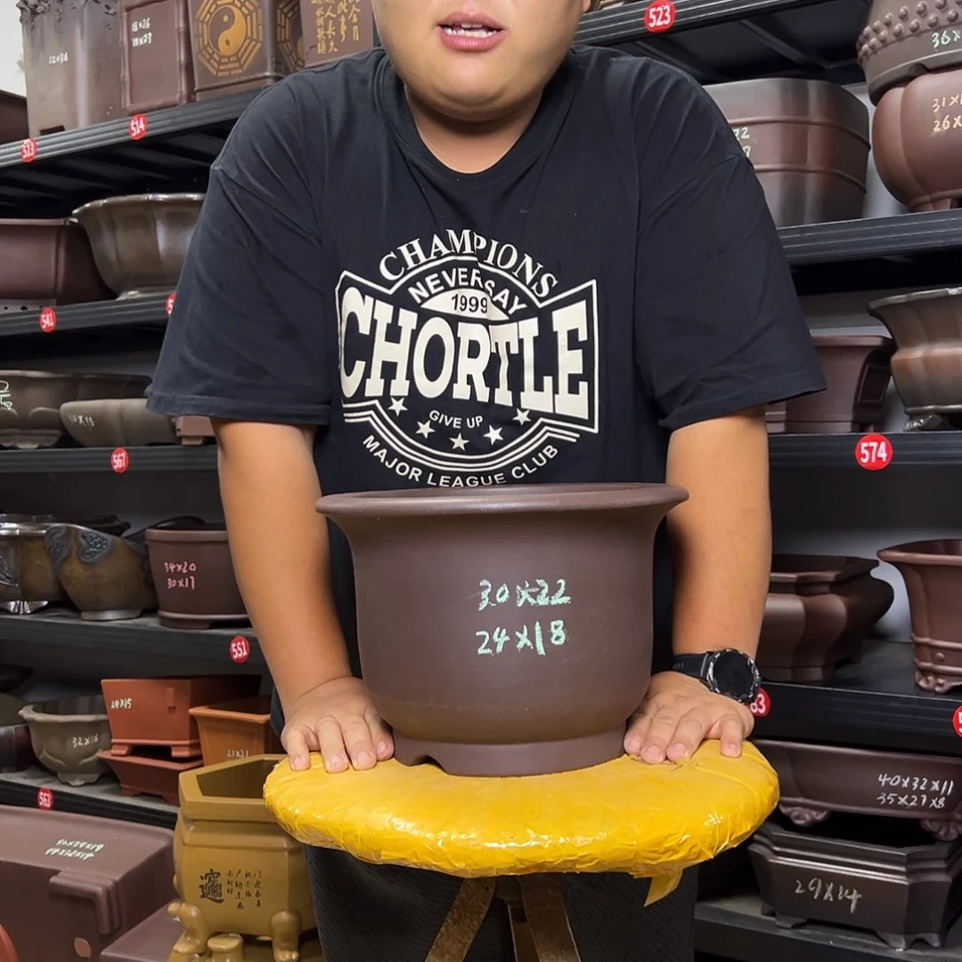 紫砂花盆呜呜呜呜我的