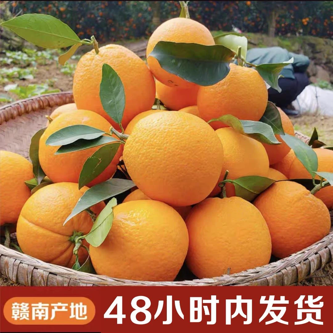 1【正宗赣南早脐橙】新鲜水果整箱发货薄皮多汁橙子现摘手剥橙包邮