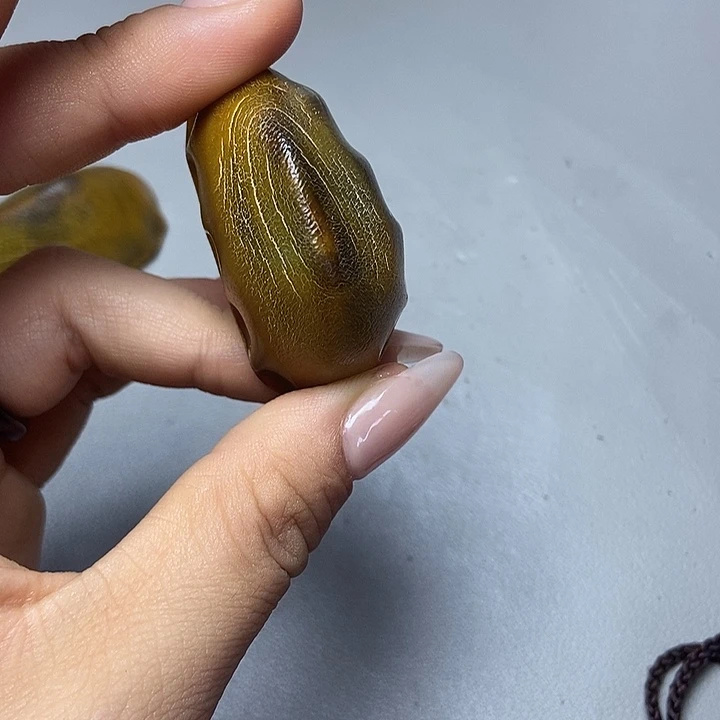 大果紫檀（缅甸花梨）