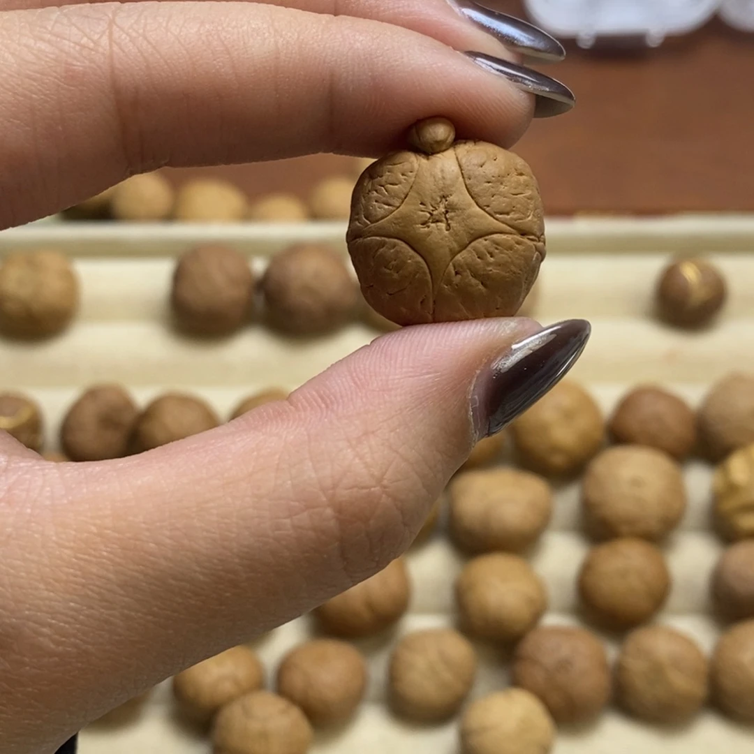 吊坠凤眼菩提异型