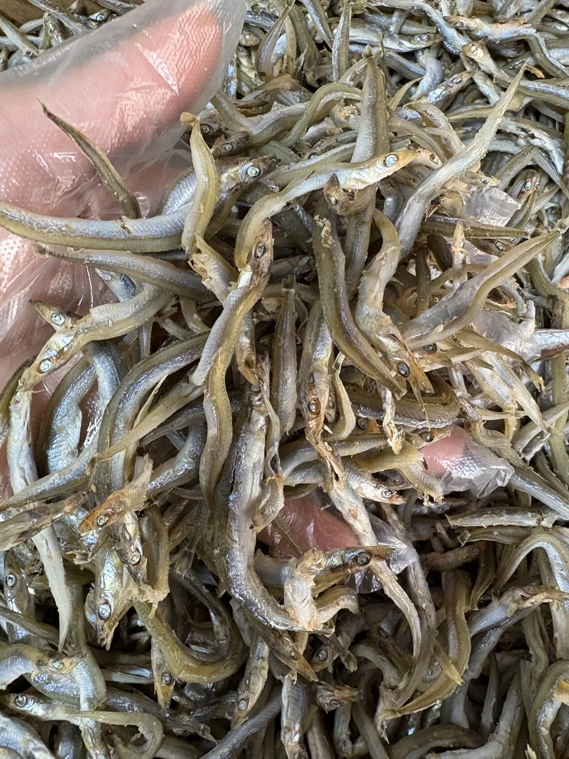 沙丁鱼又称尖嘴鱼油锅煎