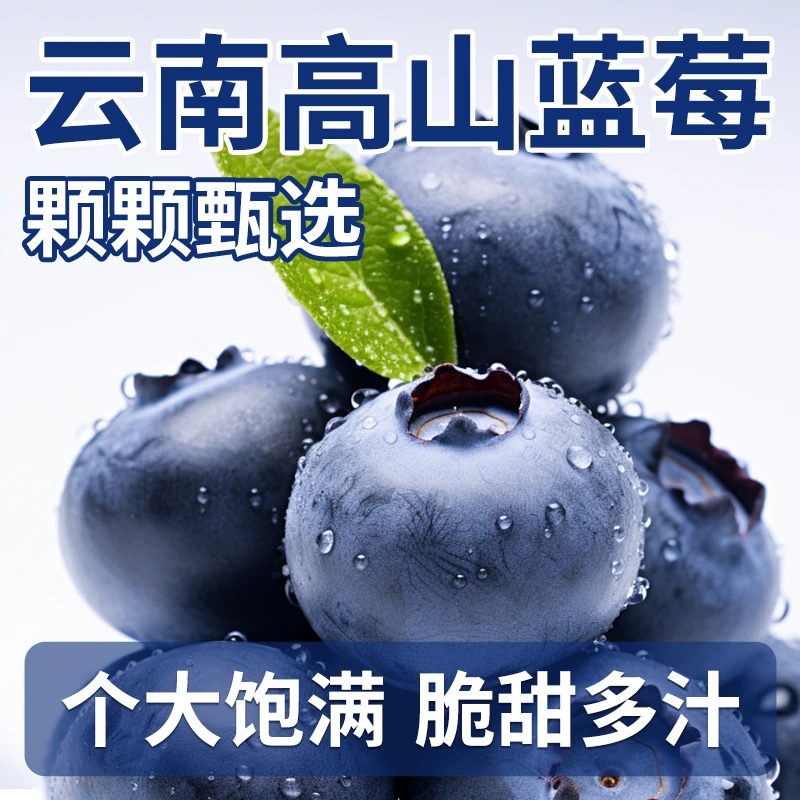 S1【顺丰京东】云南脆甜蓝莓鲜果应当季多汁水果现摘现发整箱大果