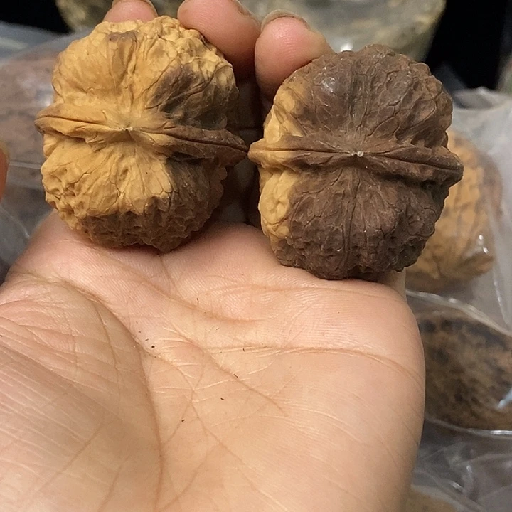 把件文玩核桃云南铁核桃基地62