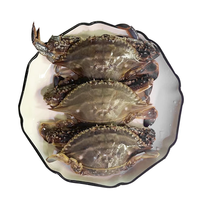 【蟹逅金秋】连云港鲜活梭子蟹 约500g