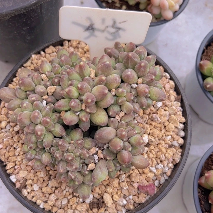 健健康康平平安安