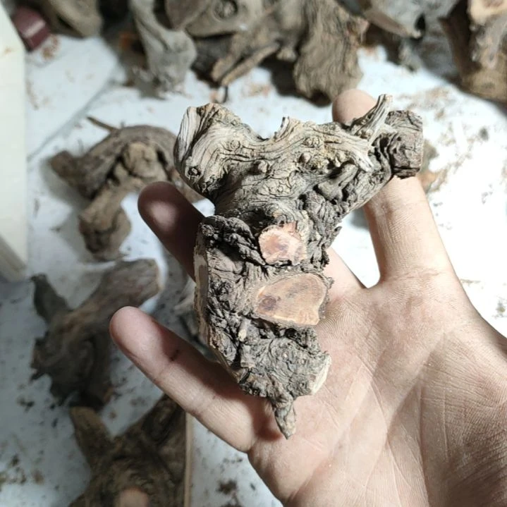 柏木（崖柏）壶**人崖柏随型弓