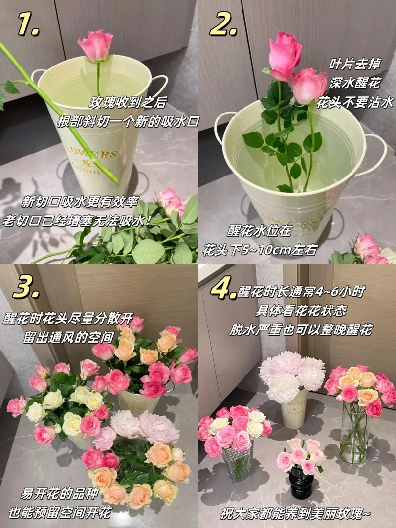 （曼曼）紫边洋桔梗800克20%防损   2单包邮