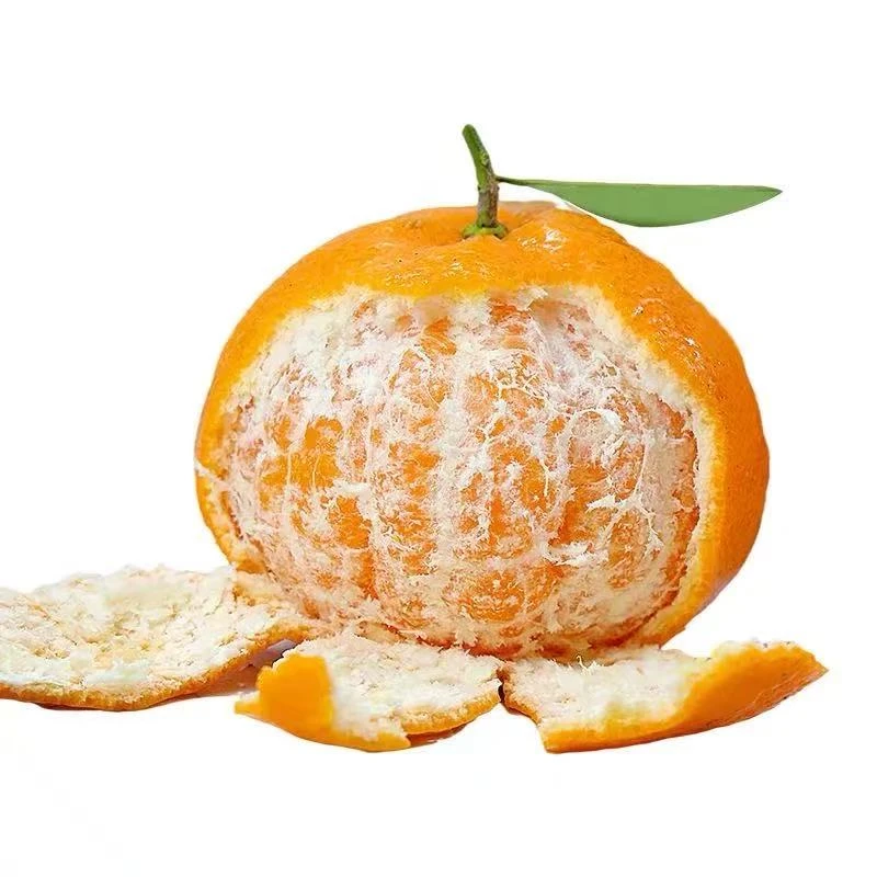 【婷猫儿专属】新鲜水果耙耙柑2.5kg