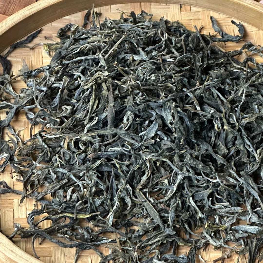 2024年森林茶  生茶  250克一份  2-11【554号】