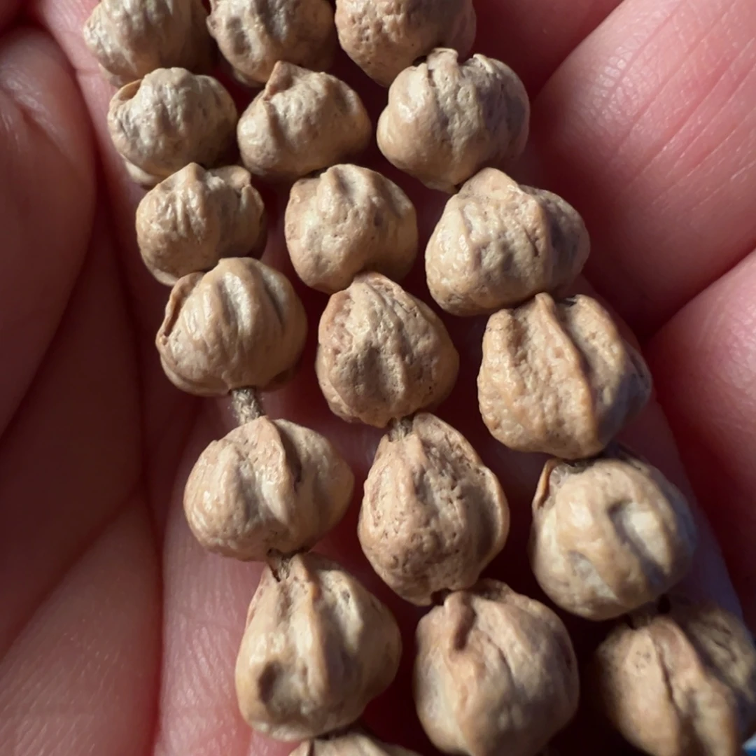 柏香籽/百香籽吊坠F763