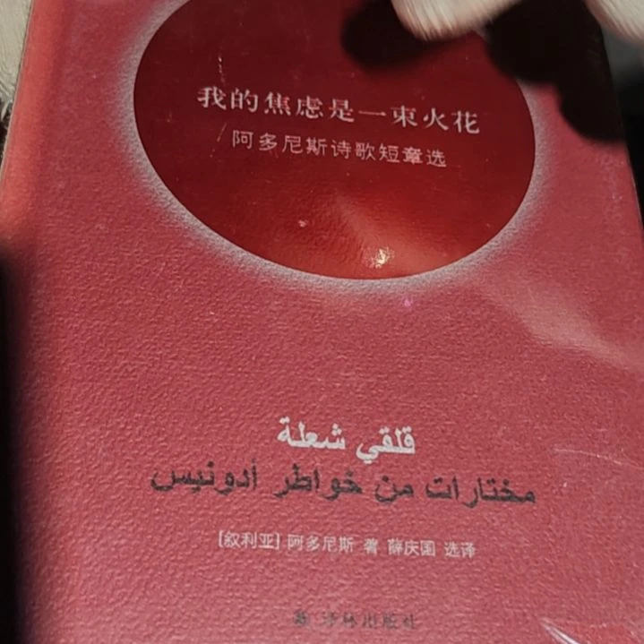 我的焦虑是一束火花精装塑封