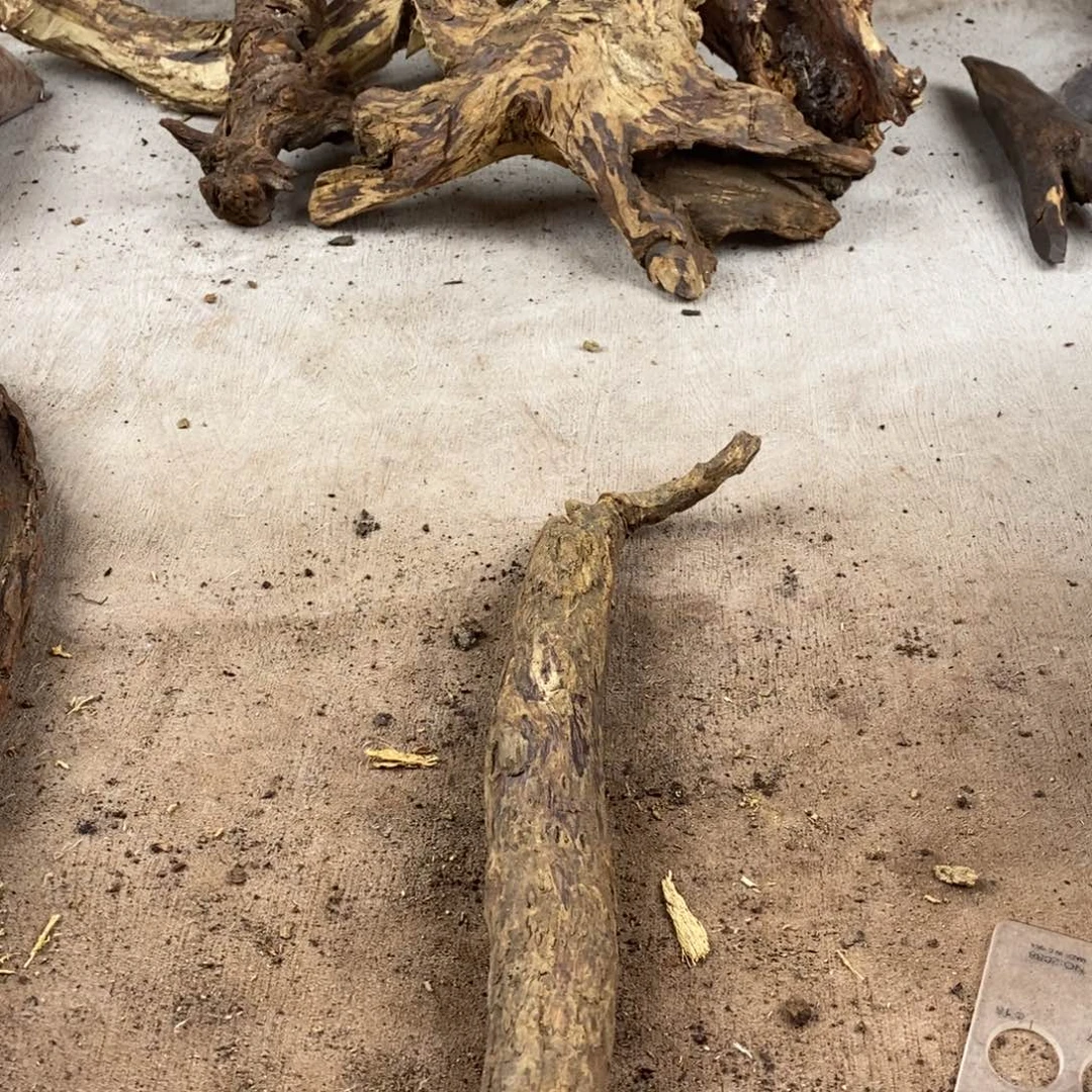 大***，黄花梨/降香黄檀降香黄檀黄花梨