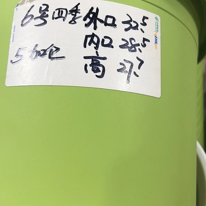 特价6号四季口32高28混色5个带托