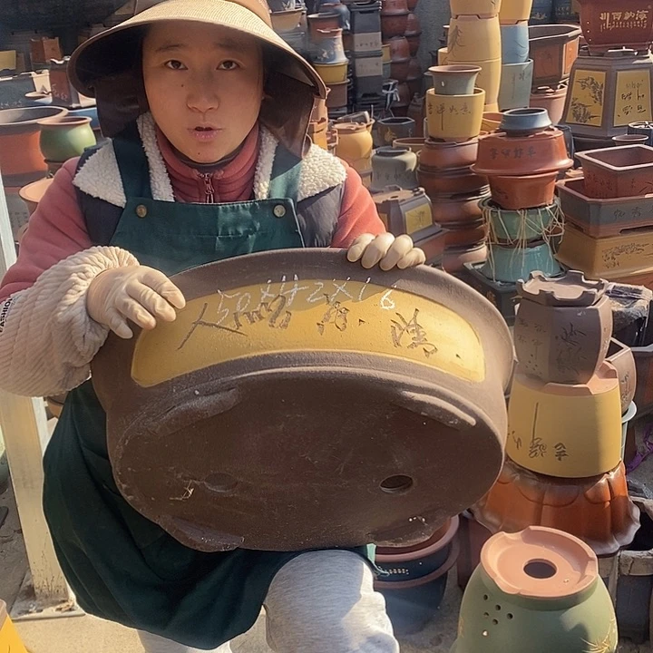 紫砂花盆紫砂花盆盆栽花卉苗木种植