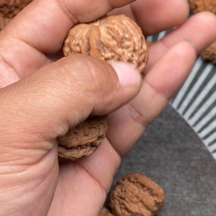 文玩核桃把件E***F白狮子