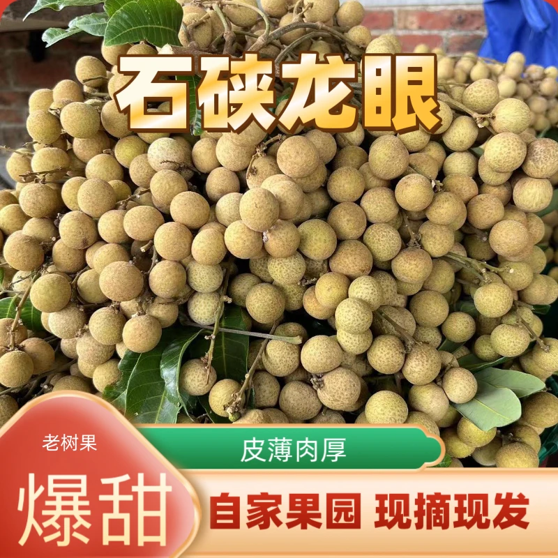 【圆通生鲜】广东石硖龙眼农家自种新鲜果园现摘清甜可口肉厚