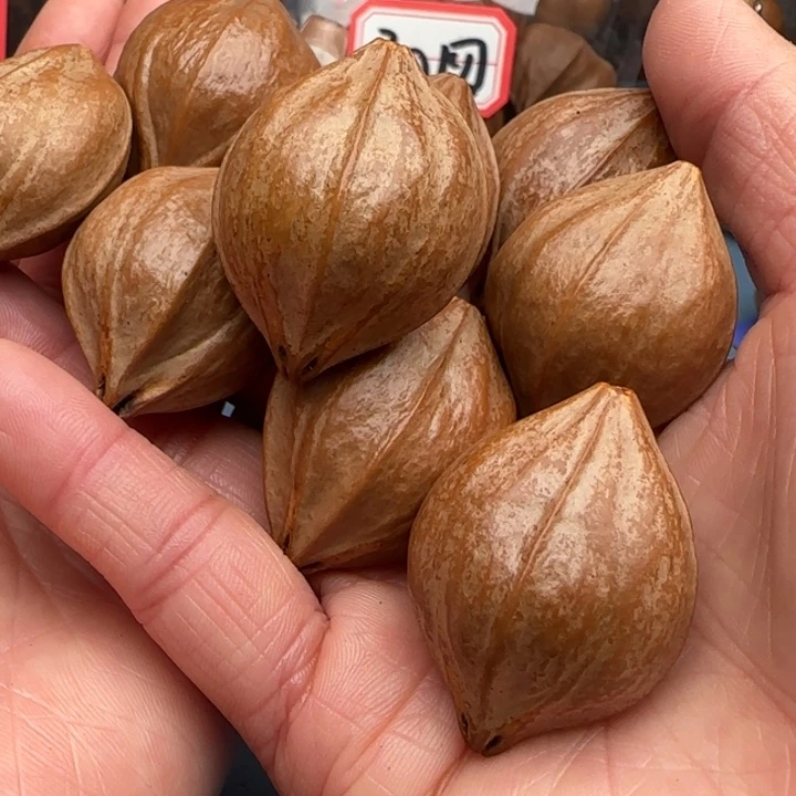 墨***麟橄榄核手串橄榄核