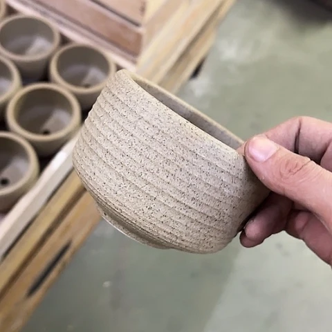 ····全是福利····