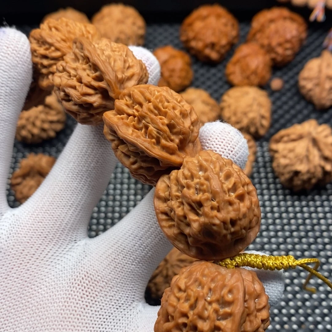 东***红秦岭森林生态系统