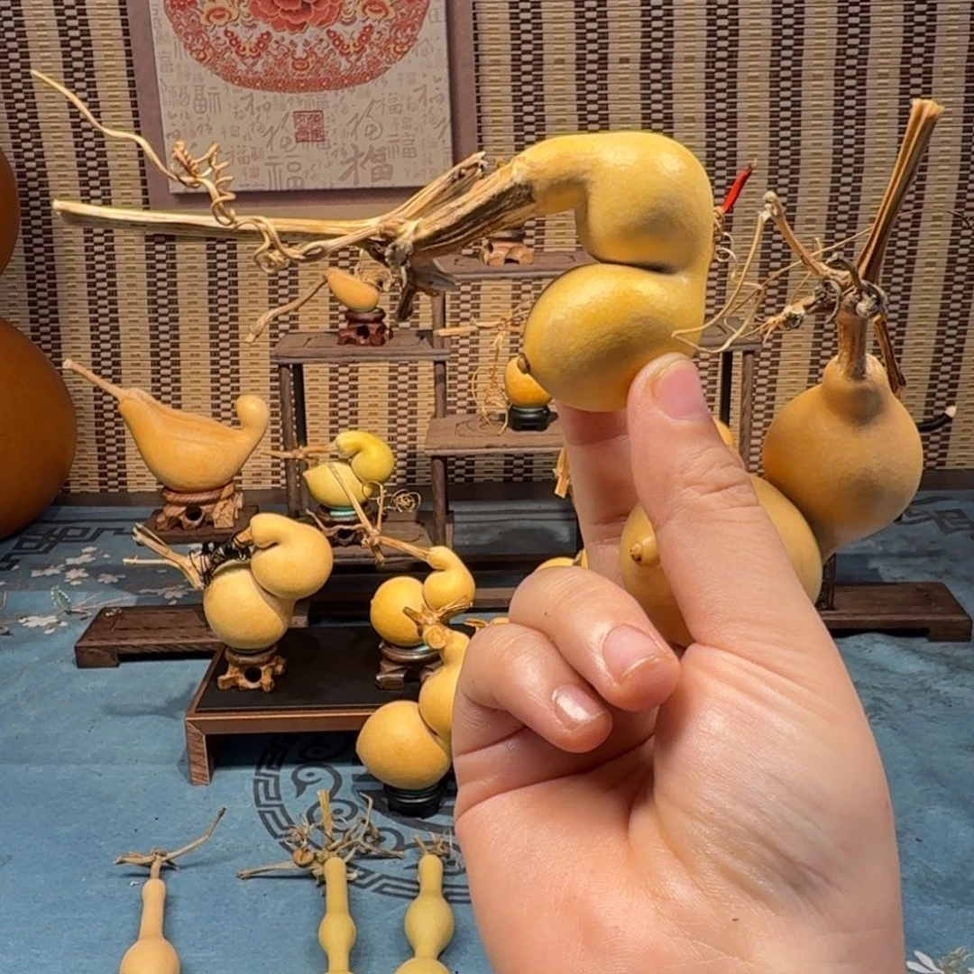 遍***开手把蚂蚁弓背贴肚