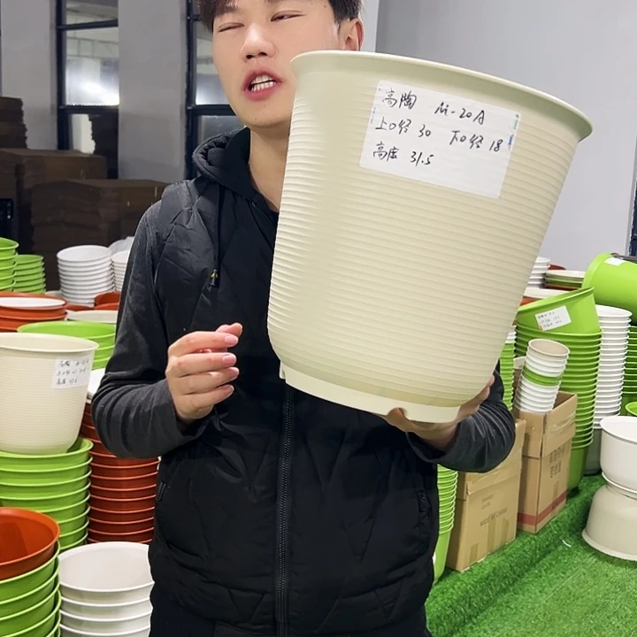 正品高陶口30高31白色3只无托