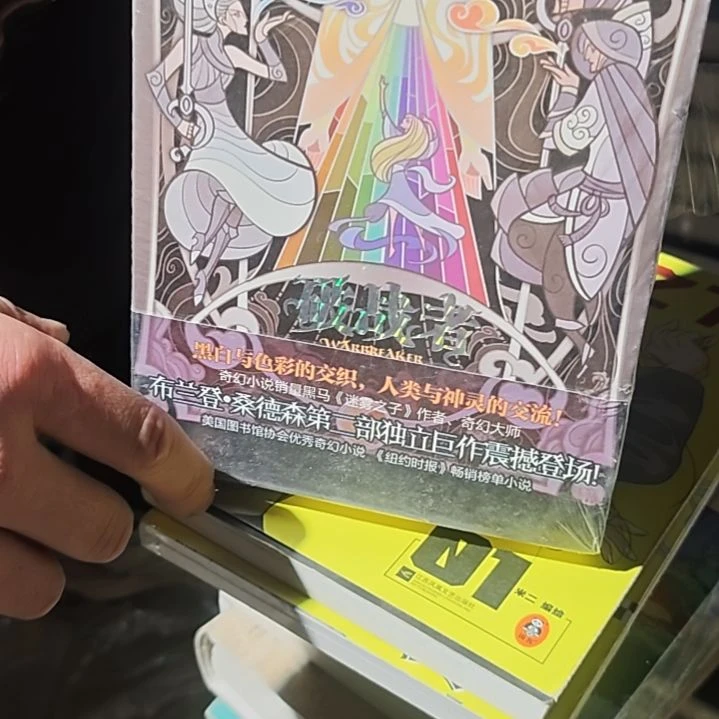 破败者平装库存书库存书