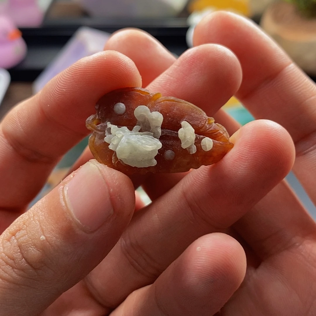 定制翡翠未镶嵌料子