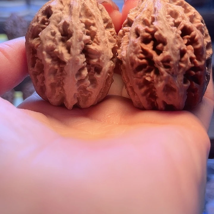 核桃5haochefanglot