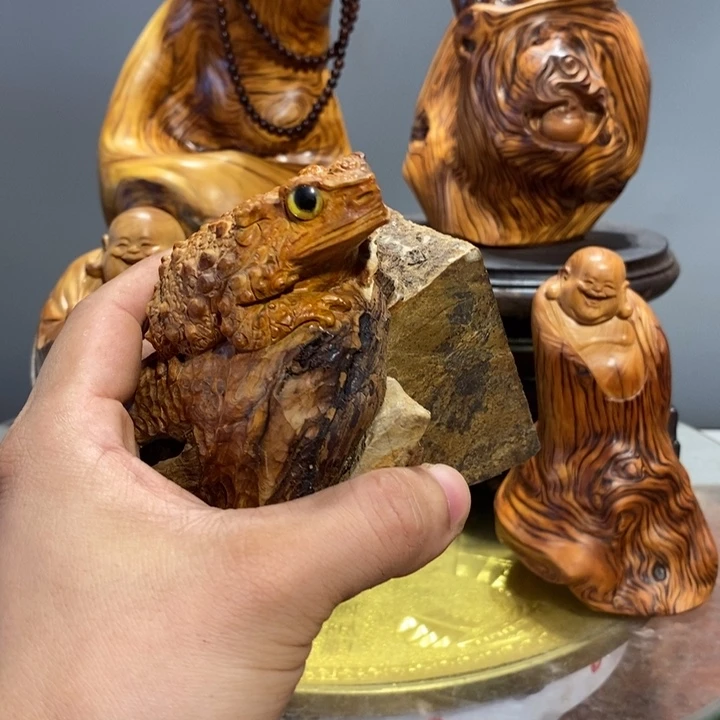 稍***香榧木崖柏等自然景区的