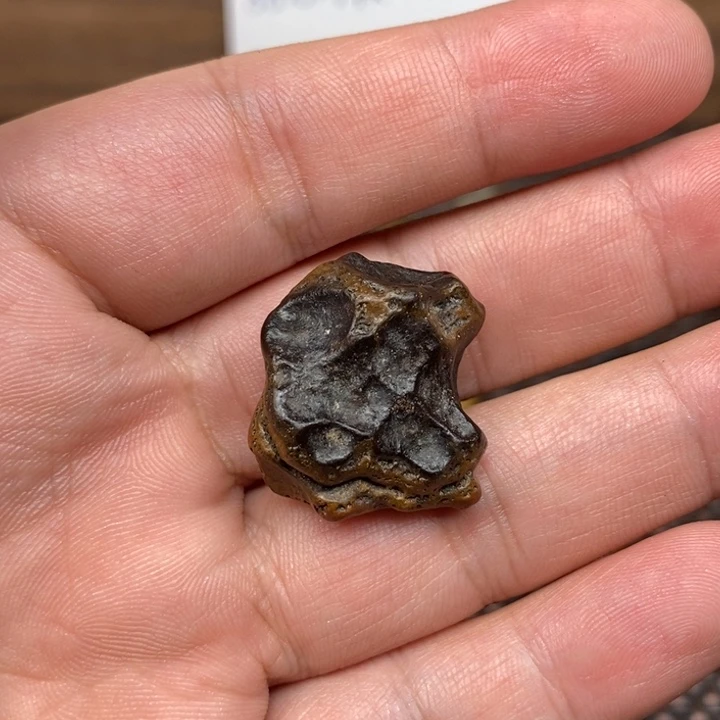 有***福玛瑙/玉髓颈饰未镶嵌