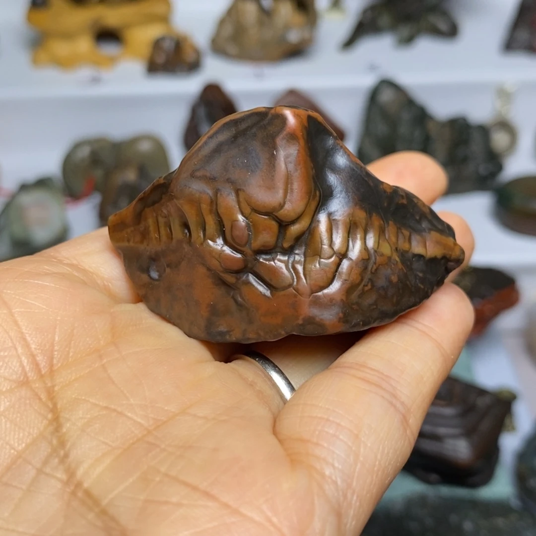 有机玻璃阿拉善戈石，海盗帽