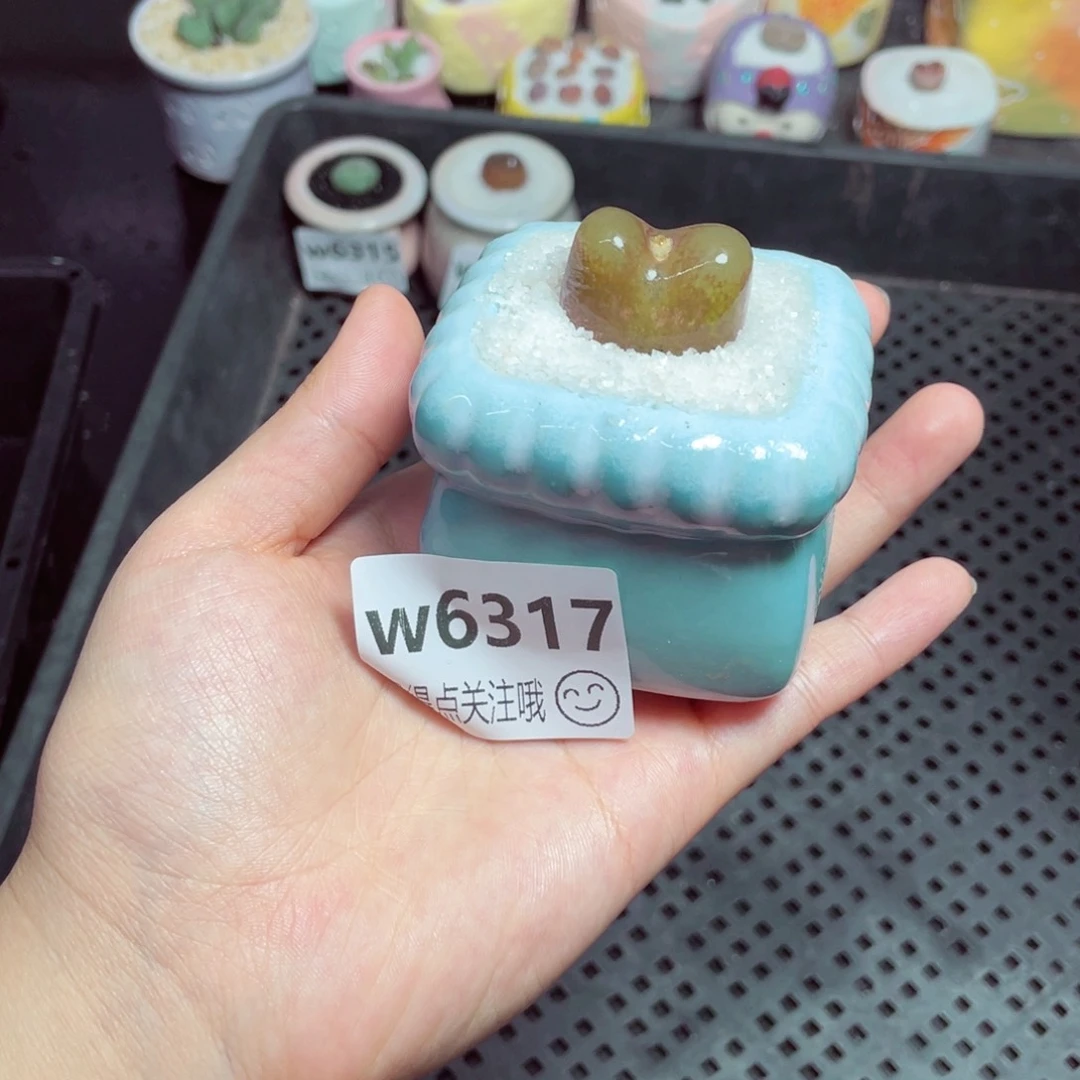 w 6317 -零下地区拍保温箱-15支持寄养