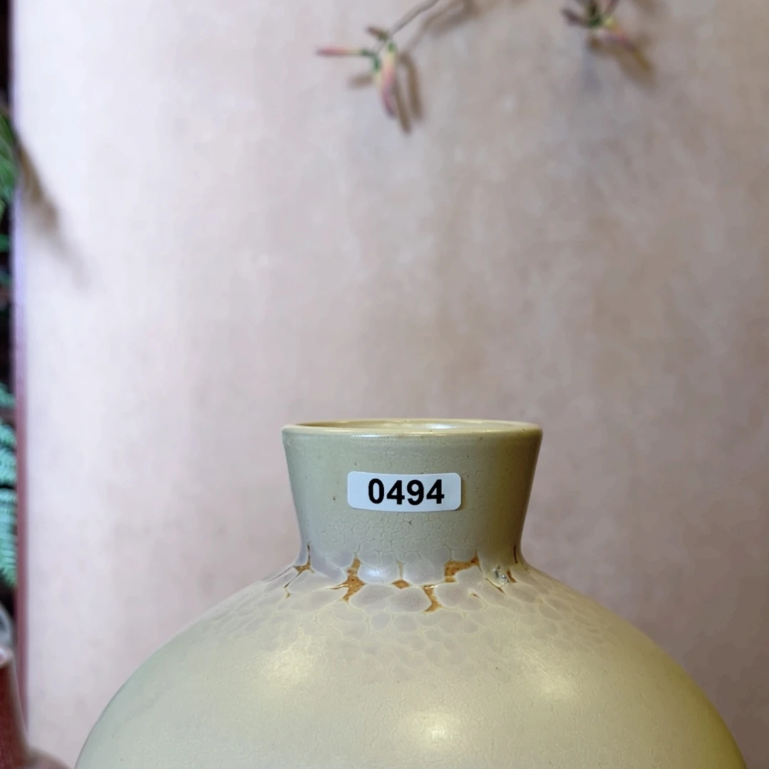 P***r罐0494000000000000