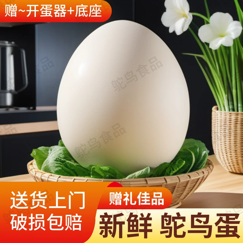 农家散养鸵鸟蛋新鲜鸵鸡蛋大号食用赠礼农场直发破损包赔送货上门