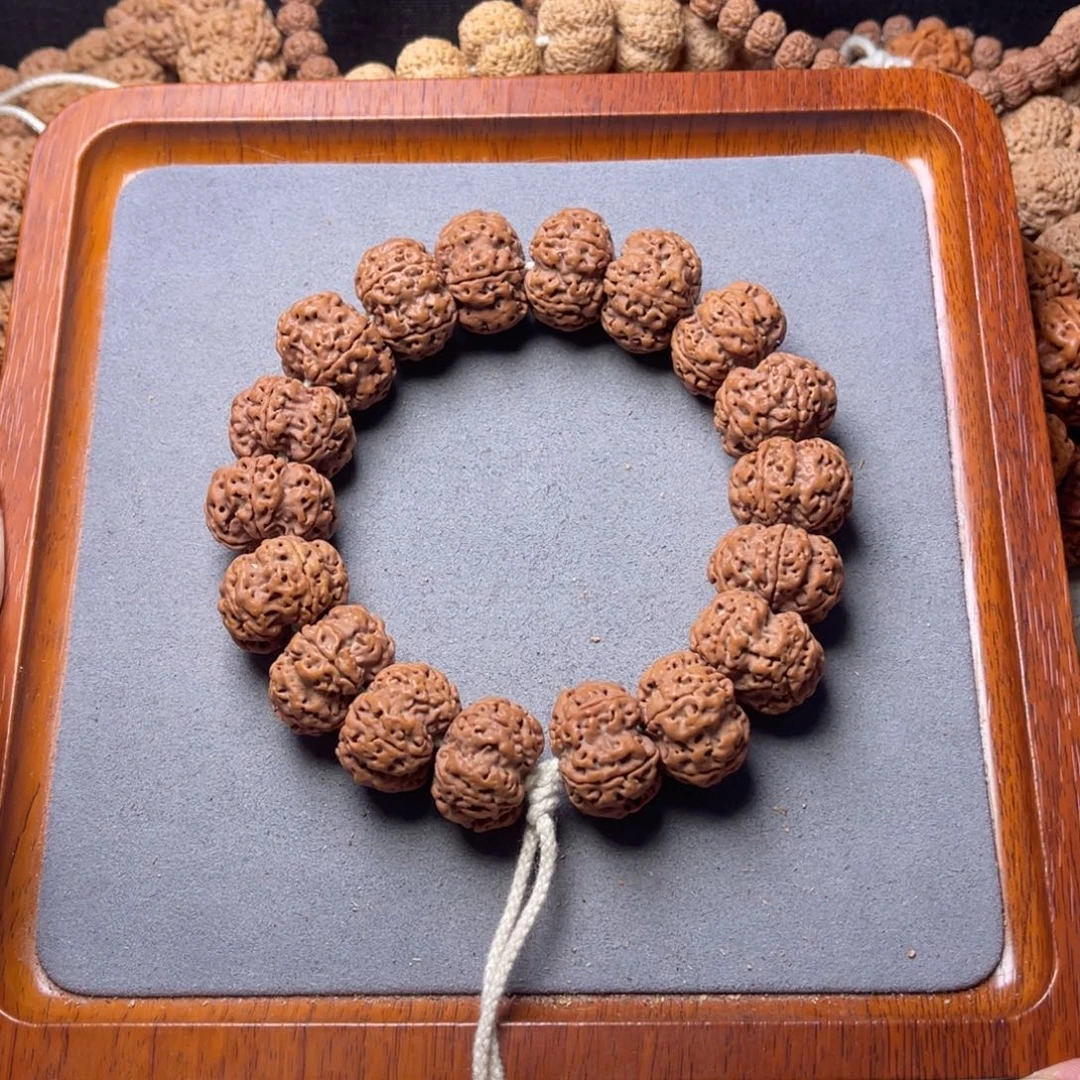 菩提籽类25号金刚菩提矮壮凹底钮扣梅花21.5/22