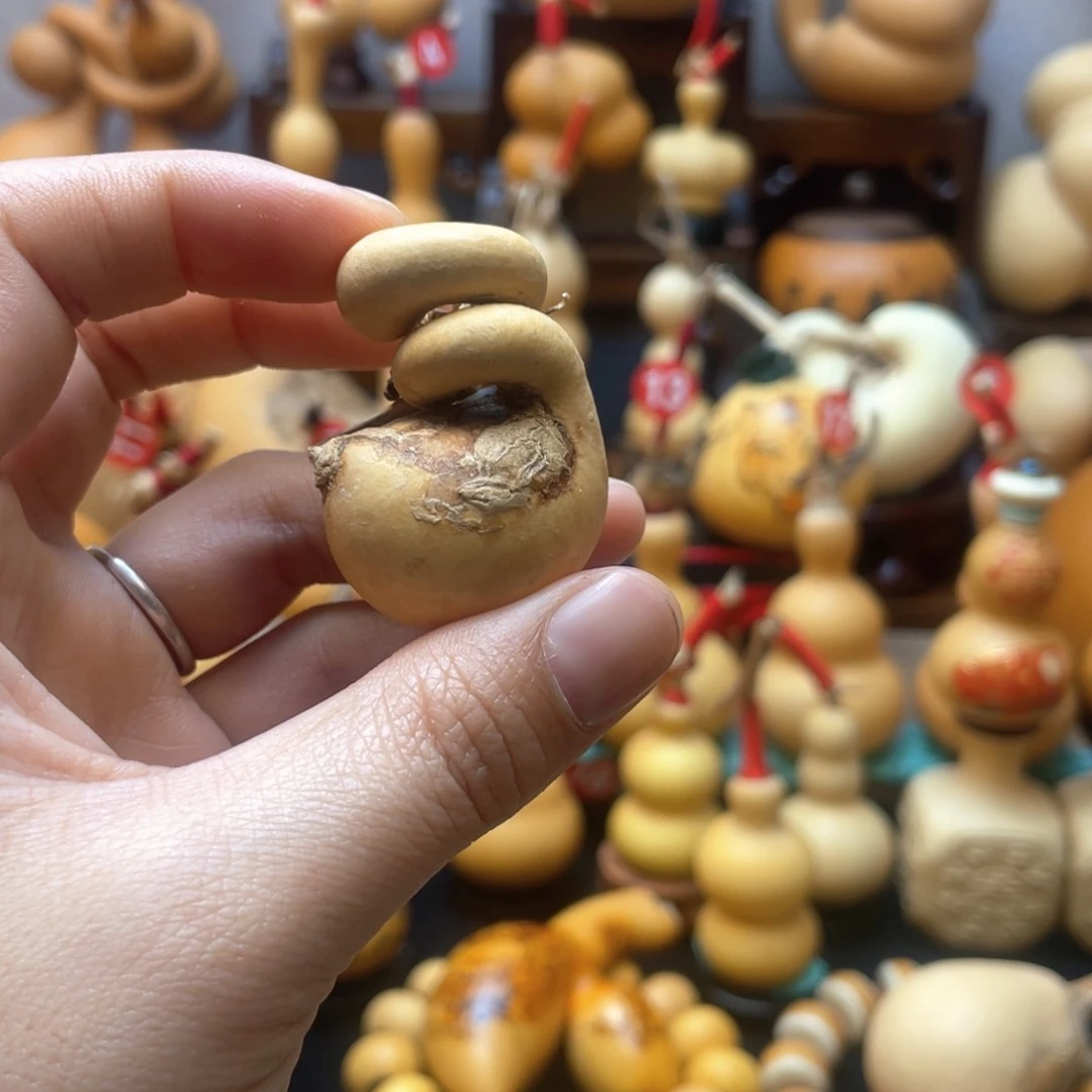 萬大自然的秘密第十一节你是谁