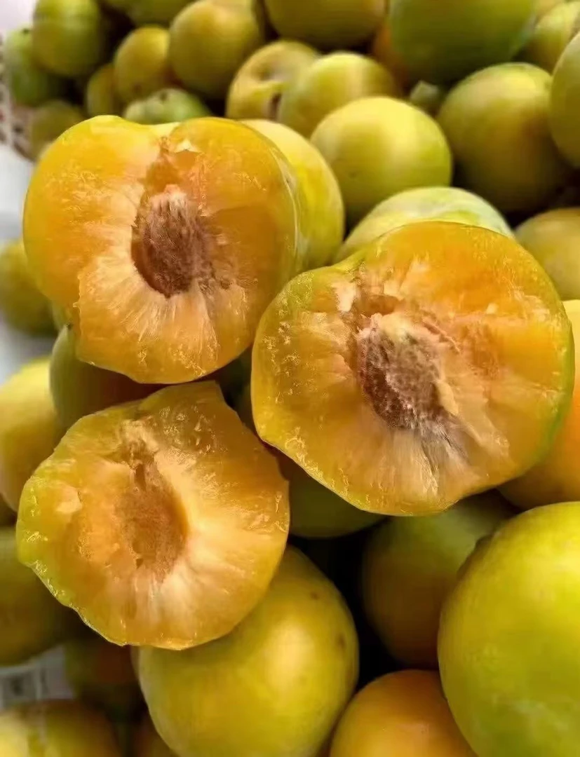 正宗贵州六马蜂糖李新鲜采摘甜爽脆脱骨李子应季孕妇应季高端水果