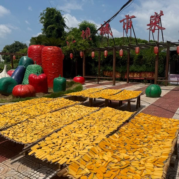 赣南特产南瓜酱纯手工制作两蒸三晒